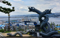 [양진오의 뿌리내린 영혼 대구경북의 집] 구룡포, 기억의 집들이 서 있는 마을