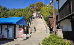 [양진오의 뿌리내린 영혼 대구경북의 집] 구룡포, 기억의 집들이 서 있는 마을