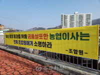 경북 영천 북안농협 임원, 상임이사제 도입 앞두고 금품 살포 물의