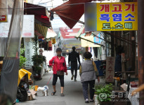개사육 농장 78% 폐업…개식용 종식 순조