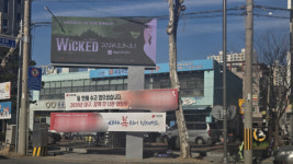 선거 앞두고 대구 도심 현수막 난립…설치 기준은 무용지물