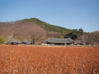[양선규의 장소의 사색] 고택 지키는 사람들