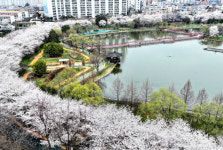 4월 분양 4만세대 봄 성수기…대구경북은 1천258가구