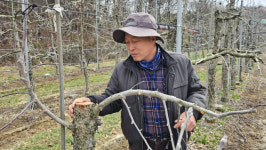 [르포]신공항 기다리다 삶이 멈췄다…지쳐가는 군위 주민들