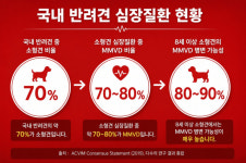 [박순석의 동물병원 24시] 반려견 심장수술 받는 시대