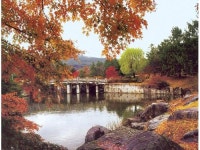 현충사 늦가을정취에 푹~