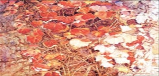 부여, ‘강남구 전자도서관 개통식’ 개최