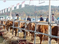 충남쌀 전국 최우수 ‘기염’
