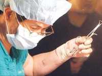 황교수, 홍성농장 찾아 실험 재개