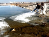 송병희 전국주부교실 대전시지부 회장 동정