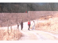봄향기… 한발한발 건강이 속삭인다