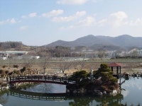 연기군 제1회 전의묘목축제