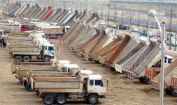 금천리 밤나무숲에서의 기원