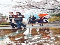 봄꽃 시샘하는‘봄비’