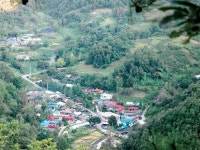 그윽한 화선지 만들어 쏟아지는 별빛 담을까