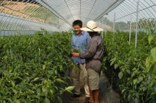 충주 수안보 750명 전국에어로빅선수권 대회 참가