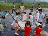 농어촌 배우며 더위탈출 성공