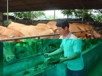 냄새안나는 클린목장 ‘눈앞’