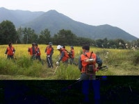 내조상 묘처럼 말끔히