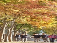 “행정도시 매장문화재 보존ㆍ활용 유적공원 조성ㆍ기록 활성화해야”