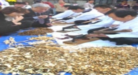 대전한의약거리 대축제