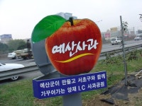 양재IC 공원조성 예산사과 홍보