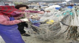 올 만선을 기원하며…