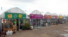 대전 노은동 화훼시장이 뜬다