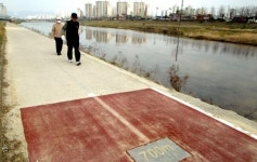 대전 하천둔치 “산책하기 겁나요”