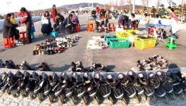 “인라인 타고 봄바람 가르자”