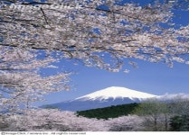 “가자! 꽃향기 속으로”