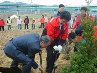 2000그루 나무심기 행사