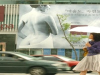 눈을 어디다 둬야할지…