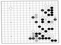 제6보(49-61) 대사석작전의 시동