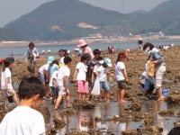 공동 체험학습ㆍ운동회…“매일 우정이 싹터요”