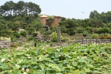 아름다운  녹색의 손짓 보이나요