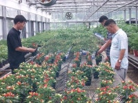 괴산청결고추분재 홍보대사 ‘톡톡’