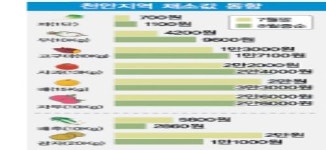 천안지역 채소ㆍ과일값 껑충