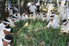 농요 흥겨운 가락 ‘흥얼’ 고된 농사일 잠시 ‘훌훌’