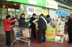 청정 제주감귤 맛보세요