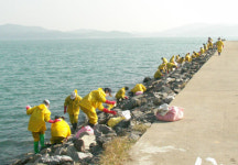 동대전성결교회 봉사단, 태안 기름방제작업