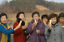 “겨울도 찰옥수수와 함께”