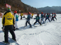 시름에 잠긴 안면도 방포초 학생 스키캠프로 즐거움 만끽