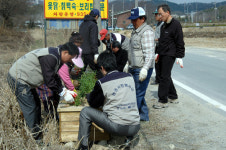 유성구 관평마을서 꽃 가꾸기 행사