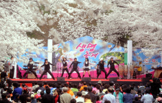 꽃과 생명의 축제