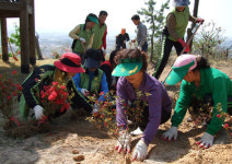 푸른 숲 만들기, 서산이 뭉쳤다