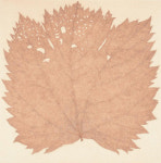 실물보다 더 실물같은… 김홍주·정광호 듀오전