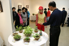 홍성문화원 야생식물 전시회