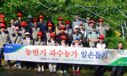 농협 대전본부 농번기 일손돕기