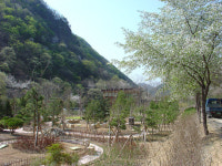 금산산림문화타운 내달 13일 개장